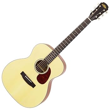 Amazon.co.jp: ARIA 100series アリア アコースティックギター